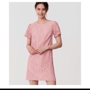 Ann Taylor lace flutter sleeve dress (periwinkle)